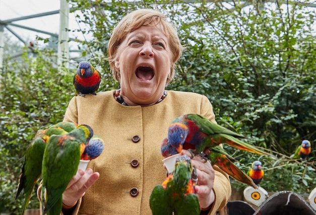 vogelpark.jpg