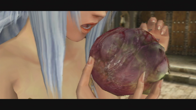 Wii_PandorasTower_10