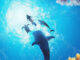 Endless Ocean Luminous Review Header