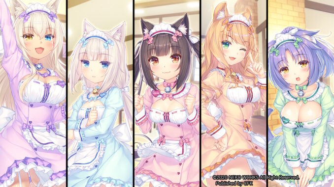 Neko Waitresses