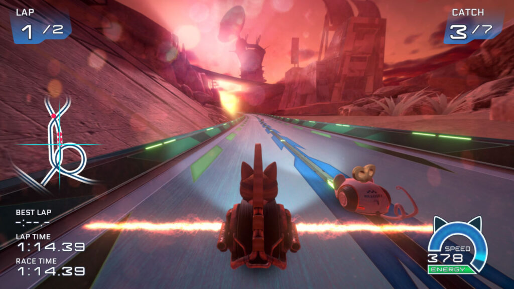 Eine RollCat beim Mäusefangen