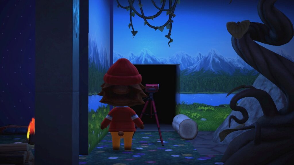 Rex von hinten vor dem Camcorder.