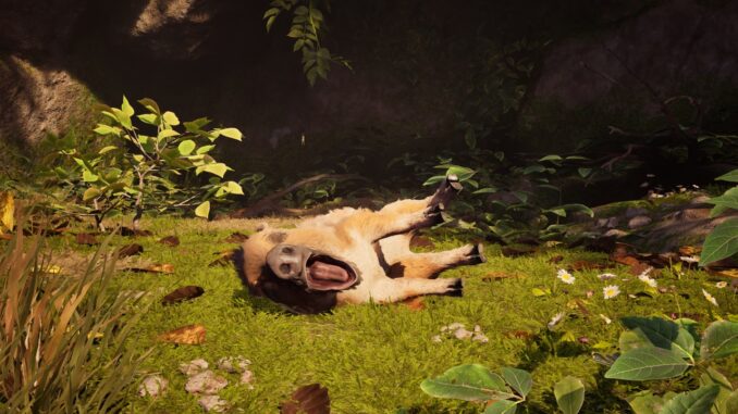 Liegender Wildschweinfrischling, gähnend, aus Adorable Adventures