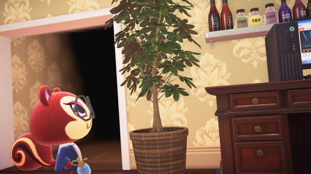 Nahaufnahme Noisette neben der Schefflera. Daneben ist ein Stück des Computers zu sehen.
