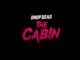 Artwork Drop Dead: The Cabin