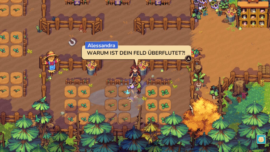 Alessandra: "WARUM IST DEIN FELD ÜBERFLUTET?!"