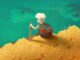 Moonlighter 2 - Will sitzt am Rande eines Berges aus Goldmünzen